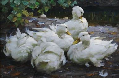 Five Resting White Ducks